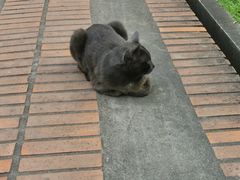 -帕辛寺