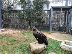 -苏州上方山国家森林公园