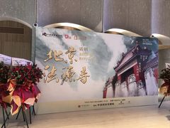 -交通银行前滩31演艺中心