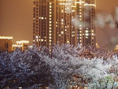 -龙美术馆(西岸馆)