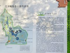 -西湖风景区-江洋畈生态公园