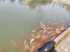 -嬉乐湾休闲旅游区