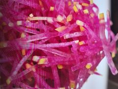 -红顶食府(滨湖九号店)