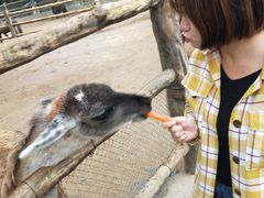 -西安秦岭野生动物园