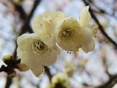 -白塘生态植物园