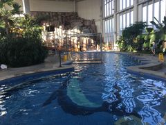 -中家鑫园温泉酒店鑫悦汤泉