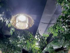 -顺德公美食(西乡店)