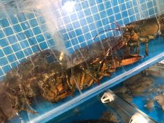 水产区-云南巷海鲜大咖·可加工海鲜