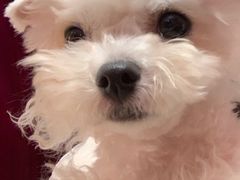 -伽利略剧本探案馆(国贸店)