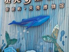-贝壳梦幻世界