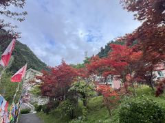 -古尔沟华美达温泉度假酒店