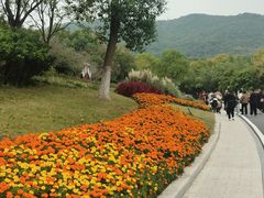-习家池
