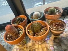 -观塘港茶餐厅(八一大道店)