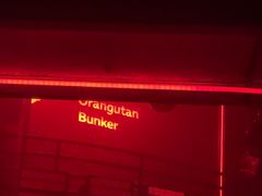 -Orangutan Bunker猩猩地堡酒吧(兰桂坊店)