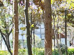 -昆山城市生态森林公园