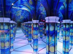 -天津梵高星空艺术馆(天河城旗舰店)