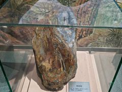 -陕西自然博物馆