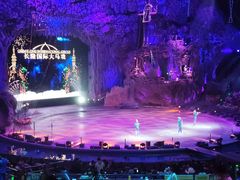 -广州长隆国际大马戏