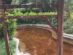 -杭州第一世界大酒店·云曼温泉