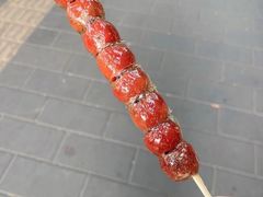 -和禄德冰糖葫芦