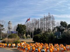 -上海长兴岛郊野公园