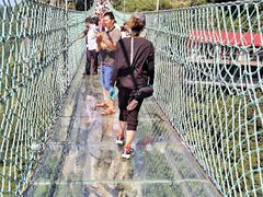 -梦幻奥陶纪景区