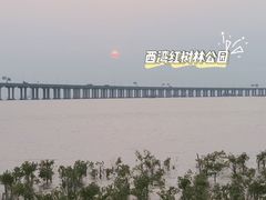 -宝安西湾红树林湿地公园