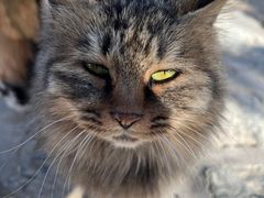 -北京西山国家森林公园