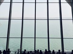 -抱抱地球咖啡馆(国家海洋博物馆店)