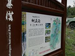 -九寨沟-树正沟