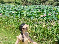 -艾溪湖湿地公园