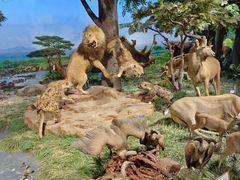 -国家自然博物馆