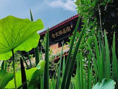 -南岳明心寺
