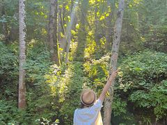 -五营红松林海景区