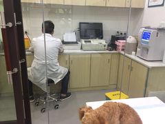 -贝利宠物医院·骨科·眼科·肿瘤转诊中心(南坪诊疗中心)
