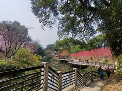 -南溪山景区