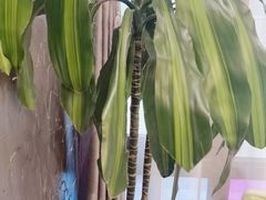 -上下九广州菜馆(锦业路店)