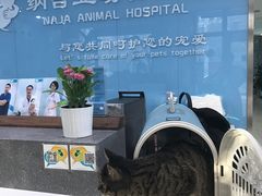 -纳吉亚猫专科动物诊疗中心(蒋宅口分院)