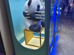 -大玩家·play1家庭娱乐中心(石狮世茂店)