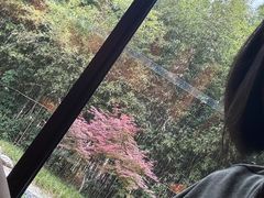 -西安凯悦酒店·湖畔中餐厅