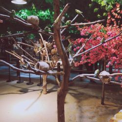 -酷嗒动物文化乐园(cutezoo西溪乐天城店)