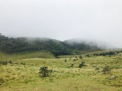 -霍顿平原国家公园