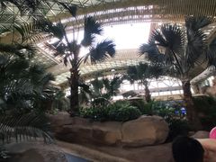 -杭州开元森泊度假乐园