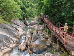 -广州白江湖森林公园