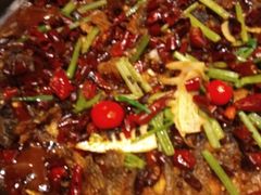 -老板恋上鱼(印象城店)