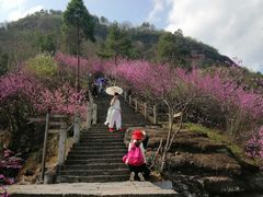 -天台山赤城山景区