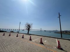 -天顺渔港·海景餐厅(星海广场店)
