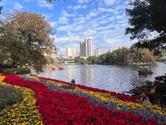 -荔湾湖公园