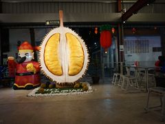 -都念榴莲·城市榴莲