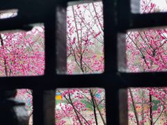 -望江楼公园
